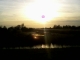 hilde